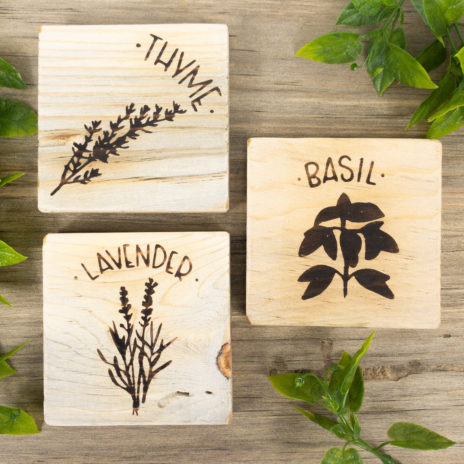 3 Herb Garden Crafts + Free Stencil Downloads