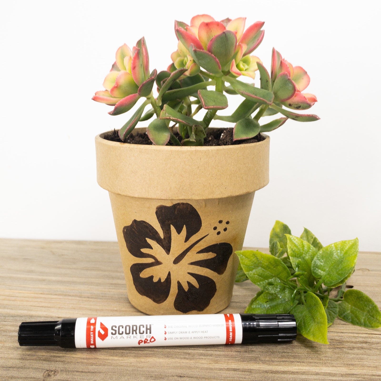 Nature-Themed Craft Ideas to Create with the Scorch Maker