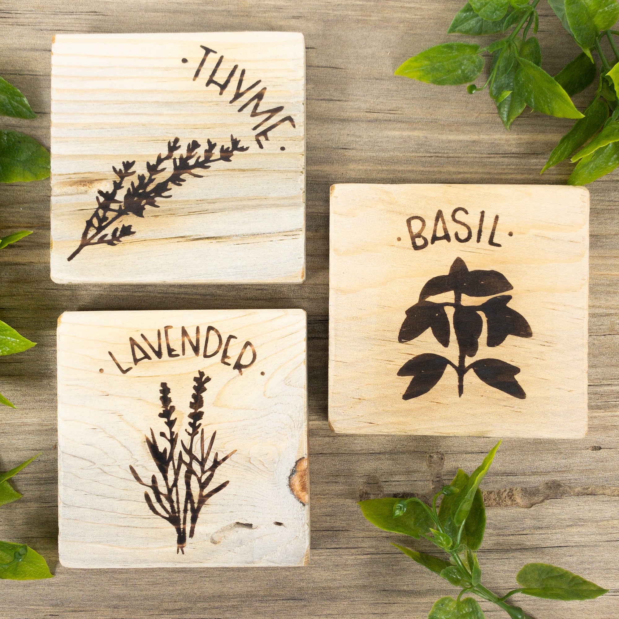 3 Herb Garden Crafts + Free Stencil Downloads - Scorch Marker 3-herb-garden-crafts-free-stencil-downloads-scorch-marker