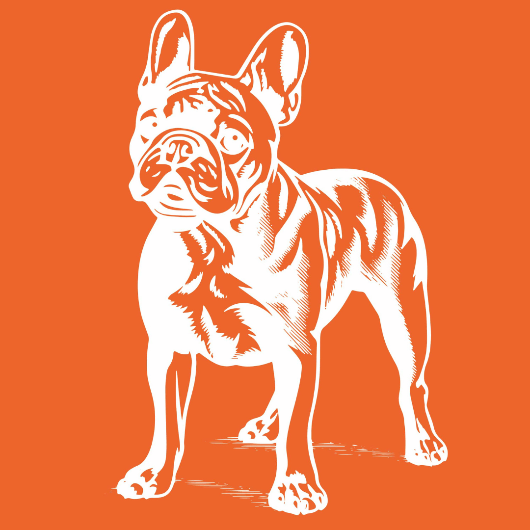 French Bulldog Mesh Stencil - Reusable & Adhesive (8.5x11")