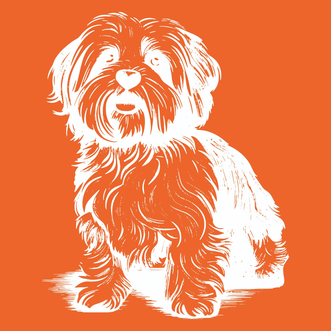 Havanese Mesh Stencil - Reusable & Adhesive (8.5x11")