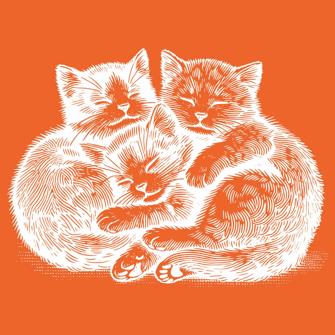 Kitten Cuddle Trio Cutting Board Kit