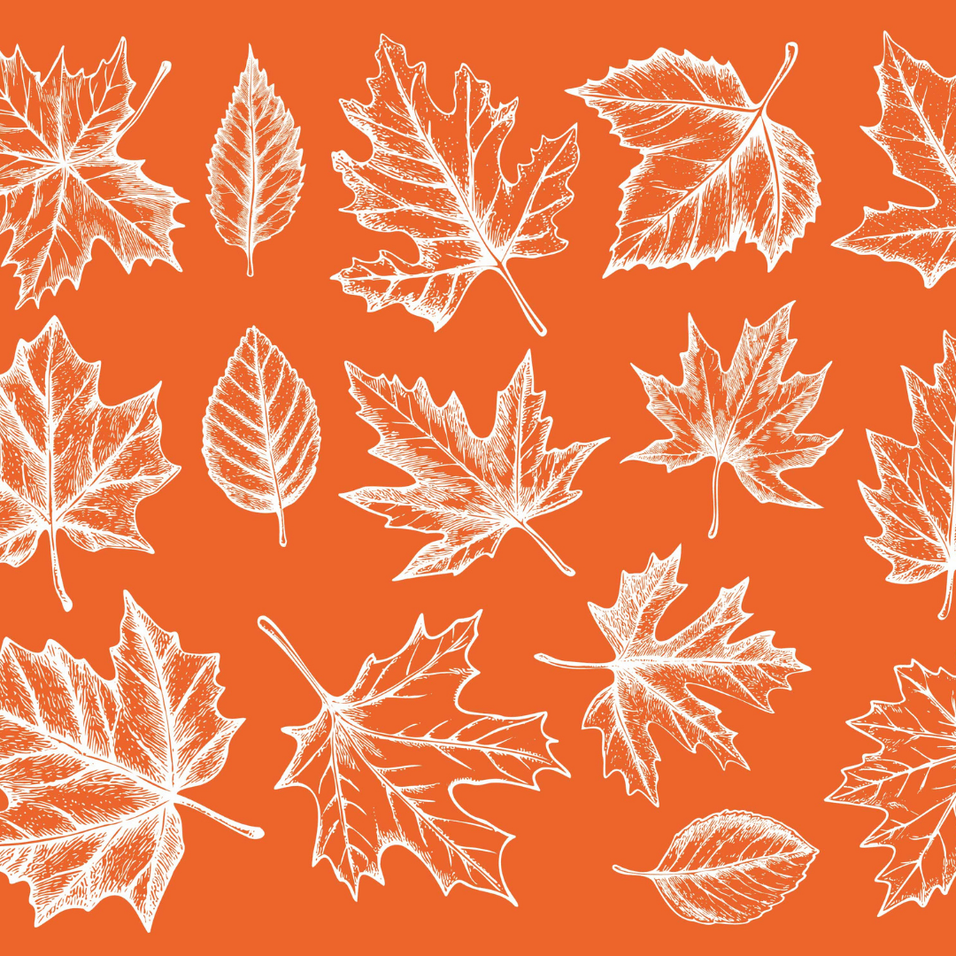 Fall Leaves Mesh Stencil - Reusable & Adhesive (8.5x11")