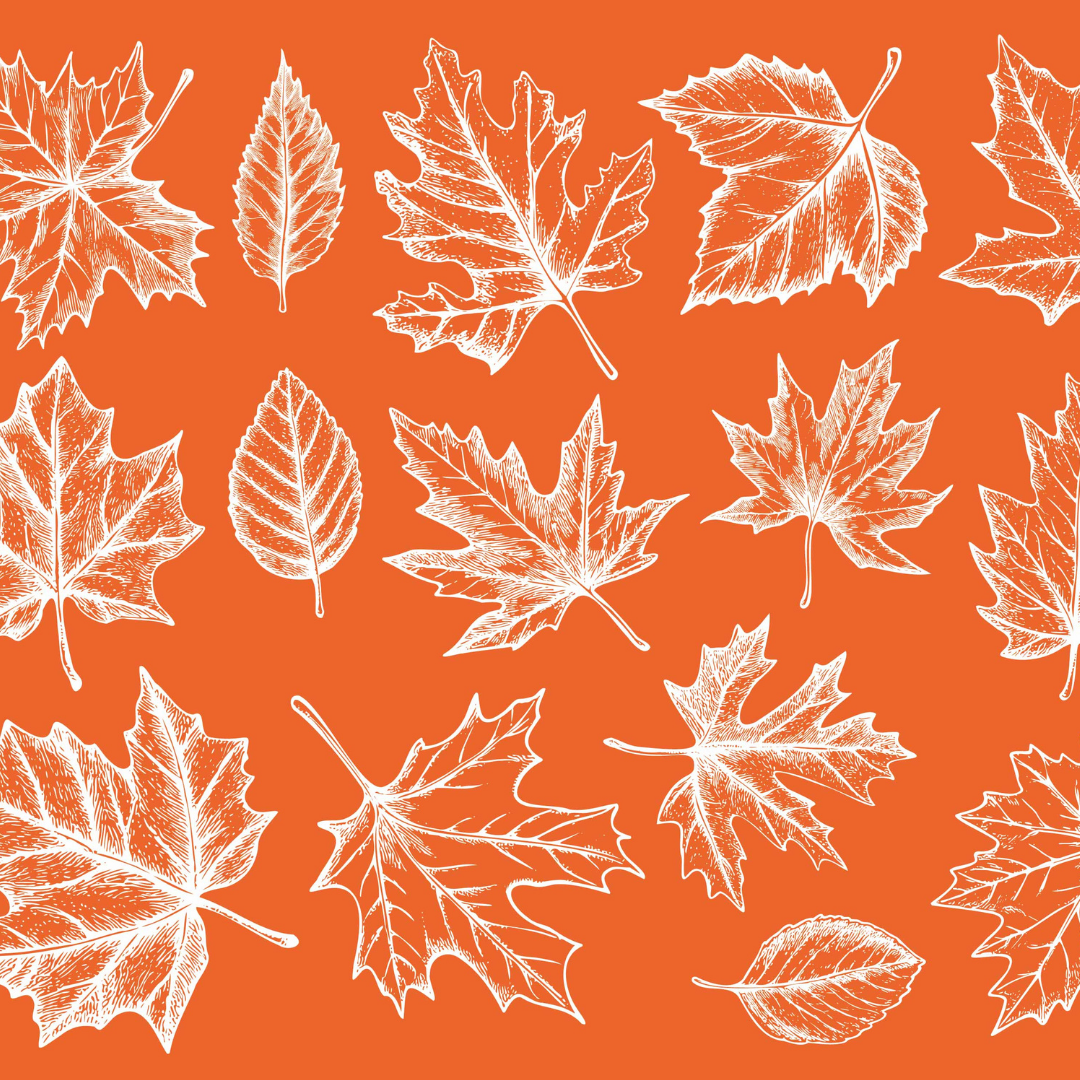 Fall Leaves Cutting Board Kit