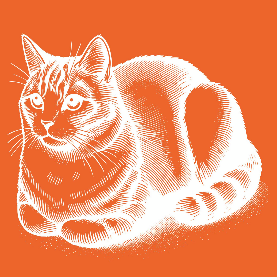 Whisker Loaf Mesh Stencil - Reusable & Adhesive (8.5x11")